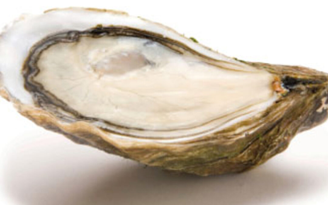 Distribuidor de ostras Gillardeau en Portugal