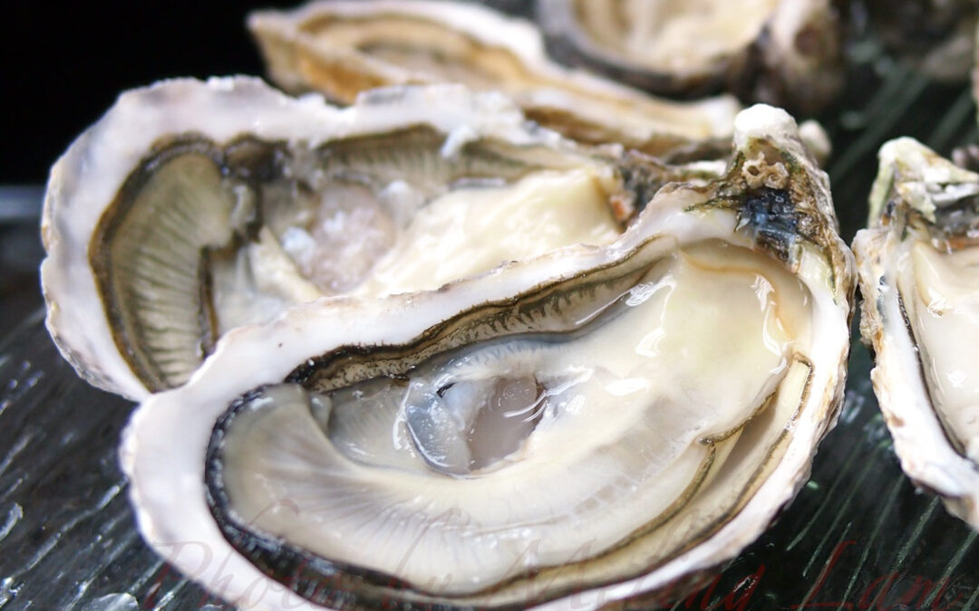 Comprar ostras Gillardeau en Portugal