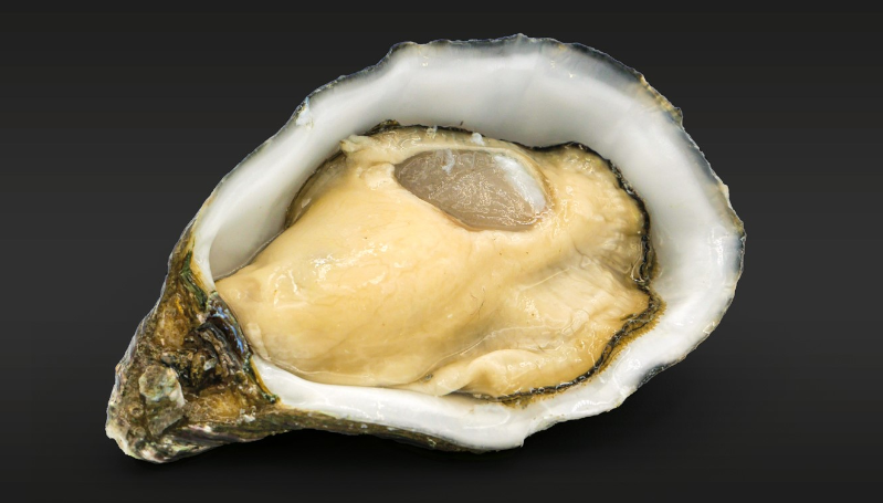 OSTRA ROGIES