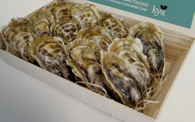 Speciales Gillardeau en Portugal