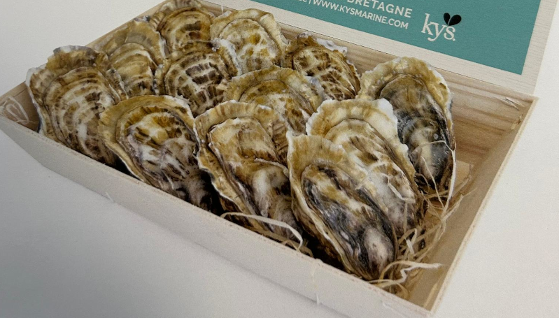 Speciales Gillardeau en Portugal